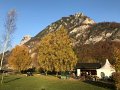 IMG_1104