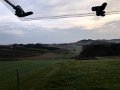 IMG_1156