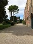 IMG_0883