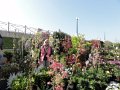 DSC03401