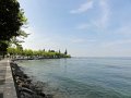 DSC03950