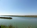 DSC03480