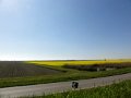 DSC03540