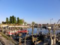 DSC03571
