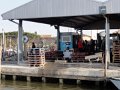 DSC03602