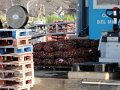 DSC03603