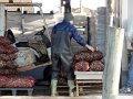 DSC03605