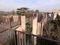 DSC02802