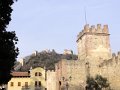 DSC02836