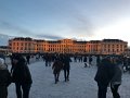 IMG_2335