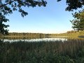 IMG_7356
