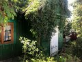 IMG_7501