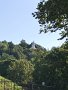 IMG_7557