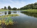 IMG_7693