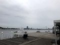 IMG_7911