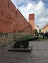 IMG_7987