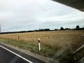 IMG_8285