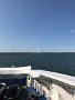 IMG_8599
