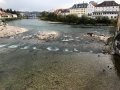 IMG_9876