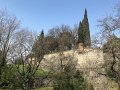 IMG_4602