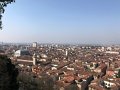 IMG_4611