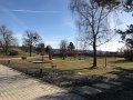 IMG_4196