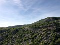 IMG_5591