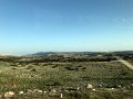 IMG_5625