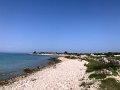 IMG_5774