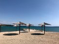 IMG_5833