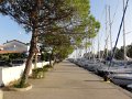 DSC02770
