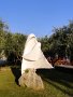 DSC02780
