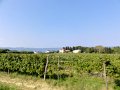 DSC02917