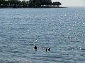 DSC03005