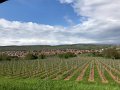 IMG_3086