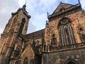 IMG_3310