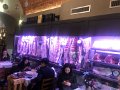 IMG_0971