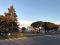 IMG_1030