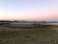 IMG_1059