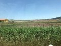 IMG_6214