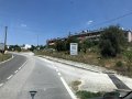 IMG_6230