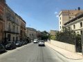 IMG_6239