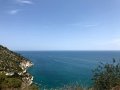 IMG_6721