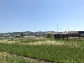 IMG_7055