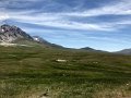 IMG_7335