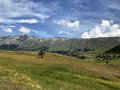 IMG_7339
