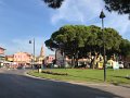 IMG_7482