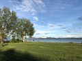 IMG_4217