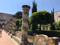 IMG_4600