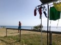IMG_5535